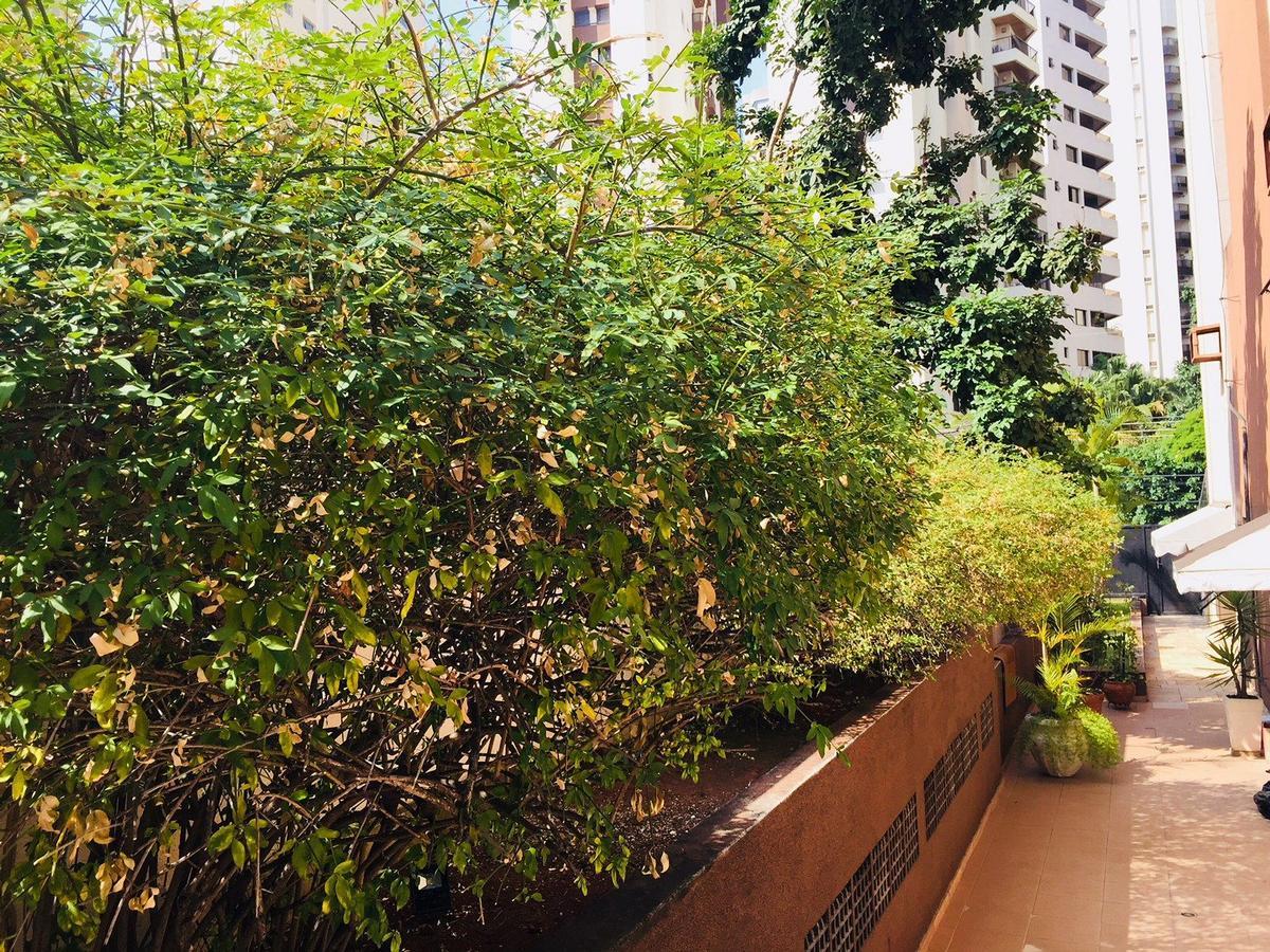 Duplex Moema Ao Lado Do Parque Διαμέρισμα Σάο Πάολο Εξωτερικό φωτογραφία